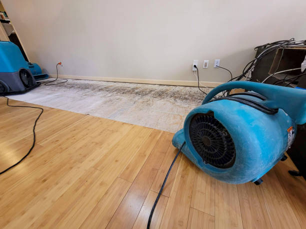 Professional Water Extraction technician working in Elk Mound, WI